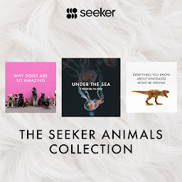 Icon image The Seeker Animals Collection