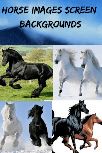 Download Images of Horses Free, HD Wallpaper Free for Android - Images of  Horses Free, HD Wallpaper APK Download 
