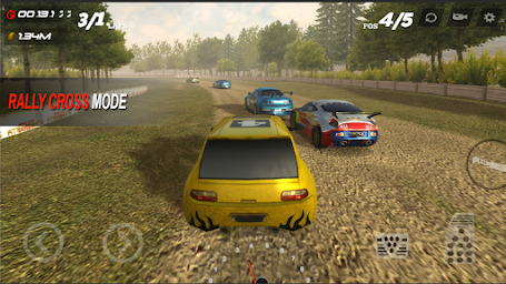 Super Rally 3D