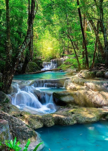 The landscape-beauty and inspiration