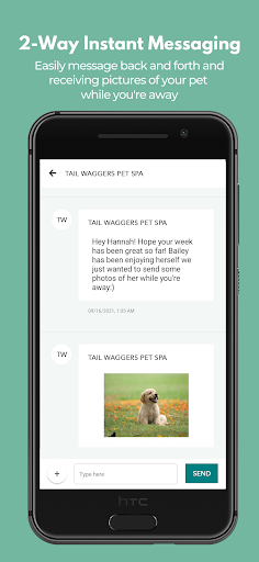 Screenshot of Tail Waggers Pet Spa