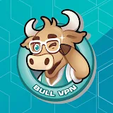 BullVPN - VPN Proxy Protect icon