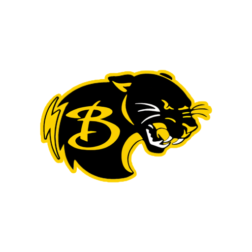 Baldwin CSD, MI logo