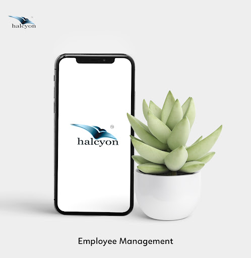 Halcyon Screen 3