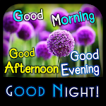 Cover Image of Download Morning Afternoon till Night  APK