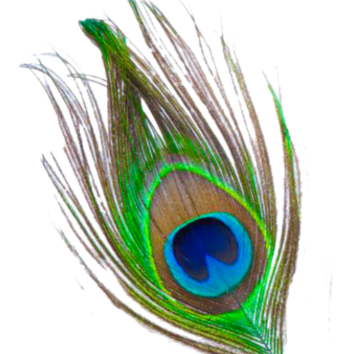 শ্রীমদ্ভগবদগীতা logo