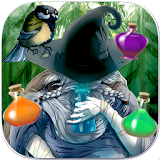 Forest Alchemy Lost Chronicles icon