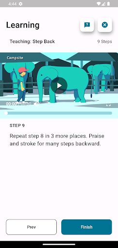 H-ELP Modern Elephant Training