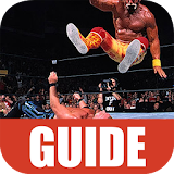 Guide for Smackdown Pain icon