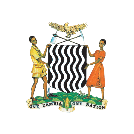 Citizen Support Services logo