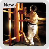 Wing Chun Training icon