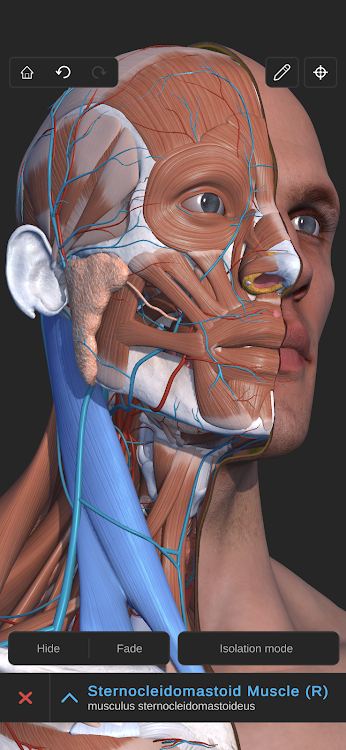 Visual Anatomy 3D - Human body - 1.12 - (Android)