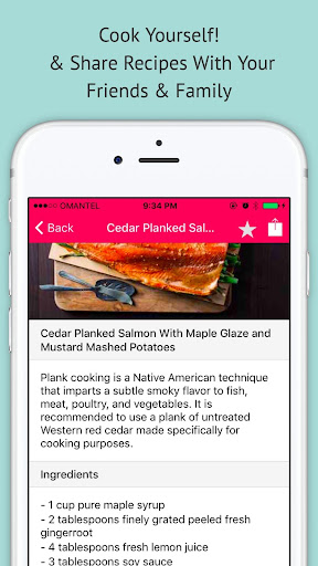 Salmon Recipes - Offline Recip Screen 3