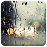 Live Rain Wallpaper icon