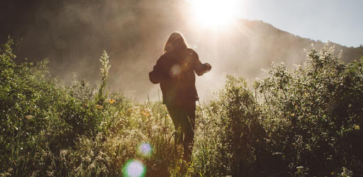 Treellions - we plant trees