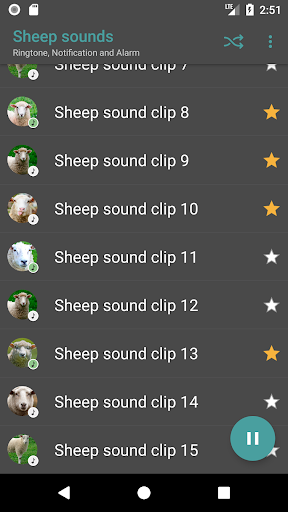 Sheep sounds Screen 3