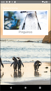 Screenshot 1 Rompecabezas de Pinguinos android