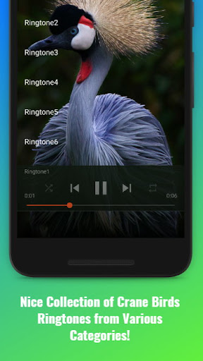 Crane Birds Sounds Screen 2