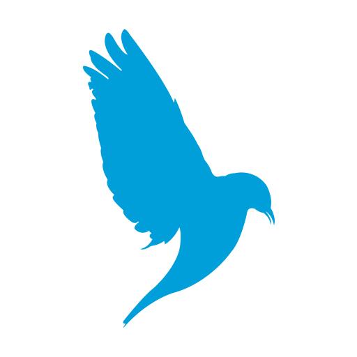 파랑새투어 logo
