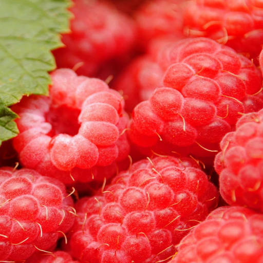 Raspberry Live Wallpaper