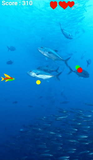 Save the Fish Screen 2