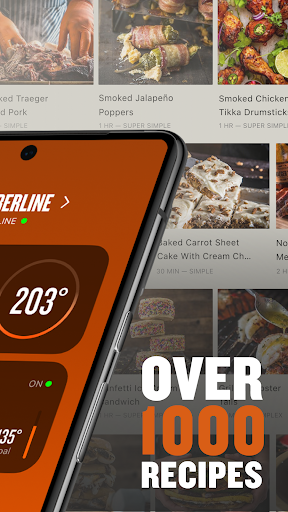 Traeger Screen 2