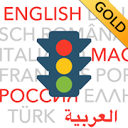 Führerschein multilingual GOLD
