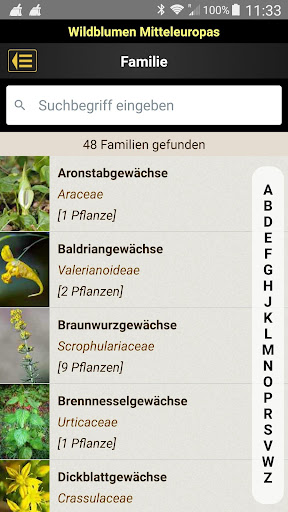 Wildblumen Screen 3