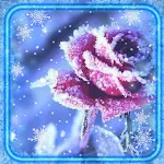Cover Image of Unduh Roses Winter HD 1.2 APK