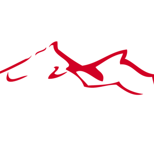 SisMiC, Agitateur Numérique logo