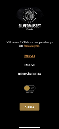 Silvermuseet Screen 3