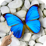 Magic Touch: Butterflies icon