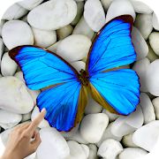 Magic Touch: Butterflies  Icon