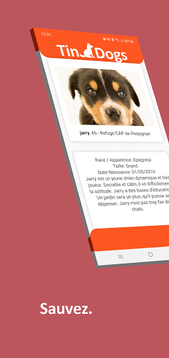 TinDogs Screen 3