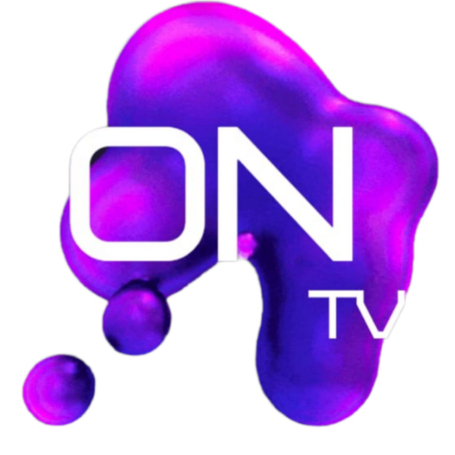 OnTV 24h logo