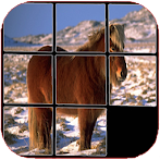 Horses Puzzle, one is hidden.