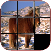 Horses Puzzle, one is hidden.