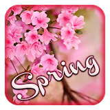 Spring Theme icon