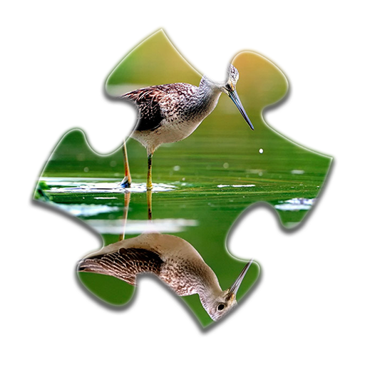 Reflection Jigsaw Puzzles  Icon