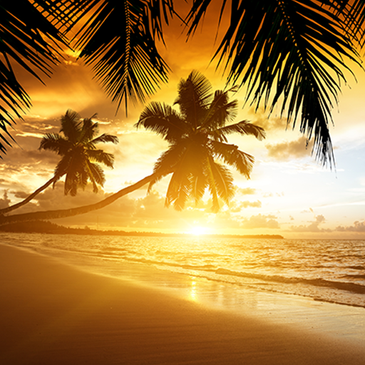 Beach Sunset Live Wallpaper - Aplicaciones en Google Play