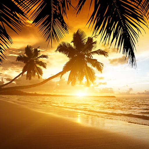 tropical sunset wallpaper