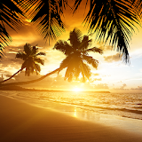 Beach Sunset Live Wallpaper icon