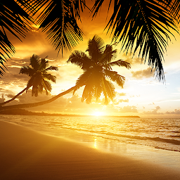 Imagem do ícone Beach Sunset Live Wallpaper