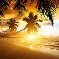 Beach Sunset Live Wallpaper