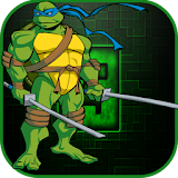 ninja fight turtle icon