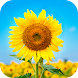 Sunflower Wallpaper 2023 - Androidアプリ