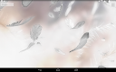 screenshot of Feathers 3D live wallpaper