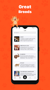 Human to cat translator app Screenshot