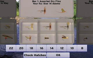 Fly Fishing Simulator