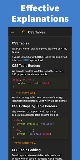Learn CSS - Pro Screen 2